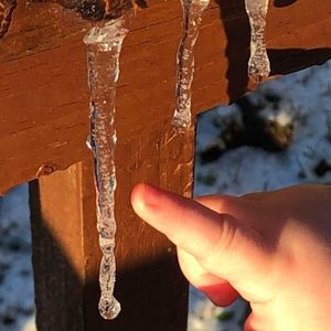 Meet your Posher, Robin